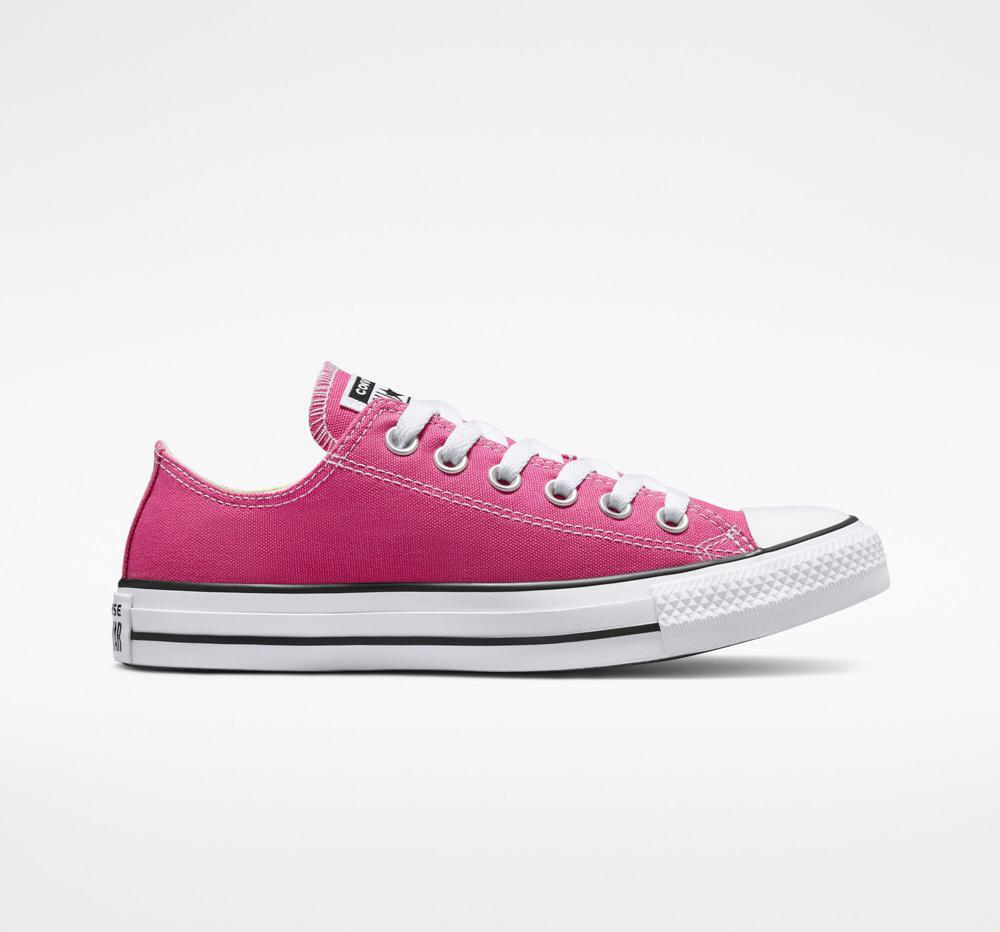 Active Fuchsia / White / Black Men's Converse Chuck Taylor All Star Seasonal Color Unisex Low Tops India | MTKV-08943