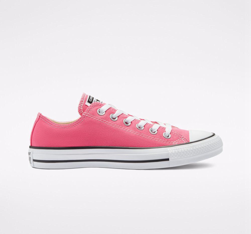 Hyper Pink Women's Converse Chuck Taylor All Star Seasonal Color Unisex Low Tops India | UHPT-73429