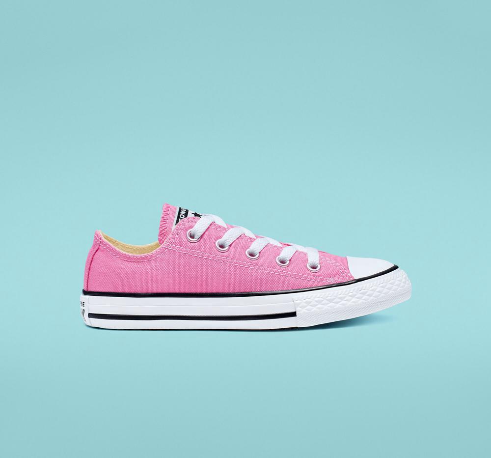 Pink Boys' Converse Chuck Taylor All Star Classic Little Kids Low Tops India | XBNY-37092