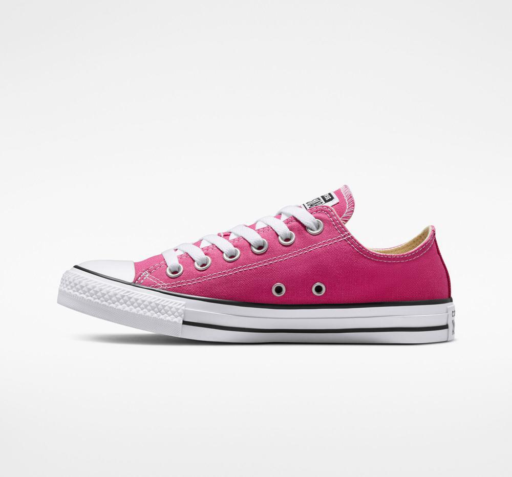 Active Fuchsia / White / Black Men's Converse Chuck Taylor All Star Seasonal Color Unisex Low Tops  India |  MTKV-08943