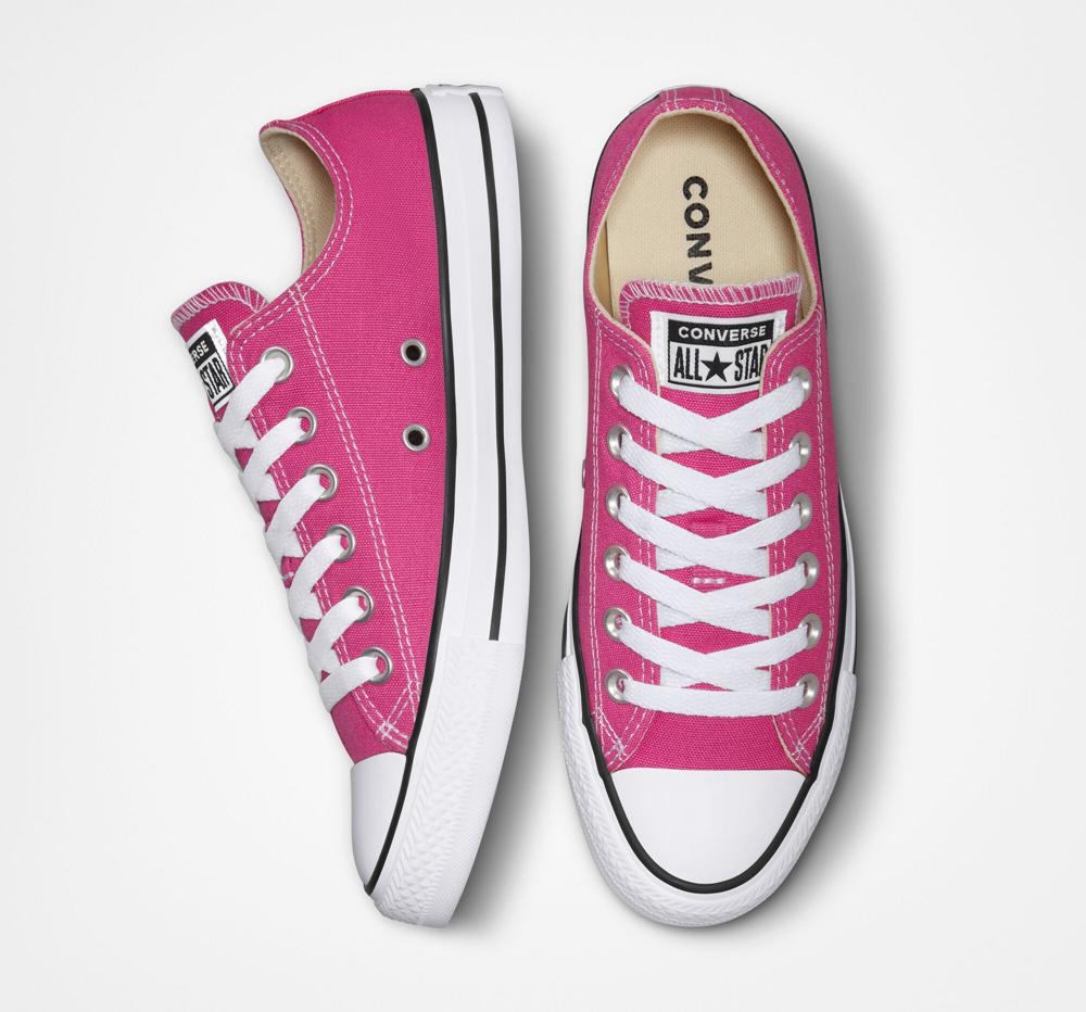 Active Fuchsia / White / Black Men's Converse Chuck Taylor All Star Seasonal Color Unisex Low Tops  India |  MTKV-08943