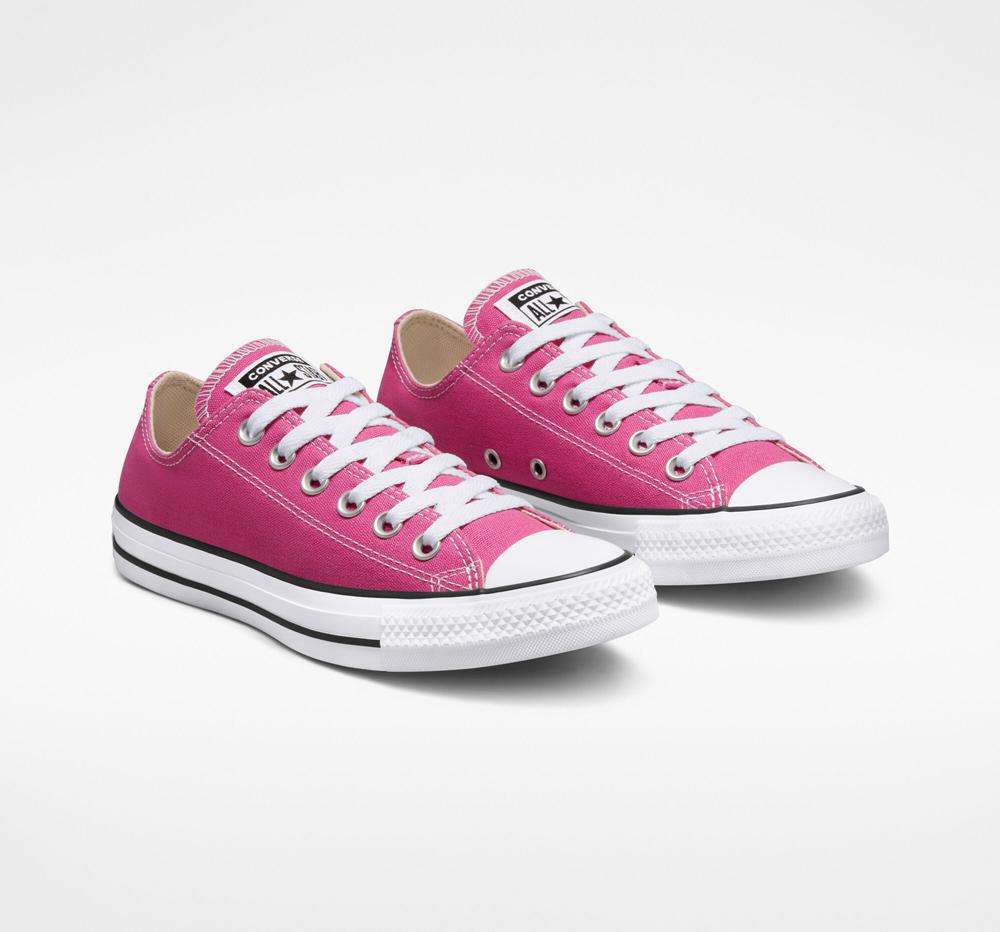 Active Fuchsia / White / Black Men's Converse Chuck Taylor All Star Seasonal Color Unisex Low Tops  India |  MTKV-08943