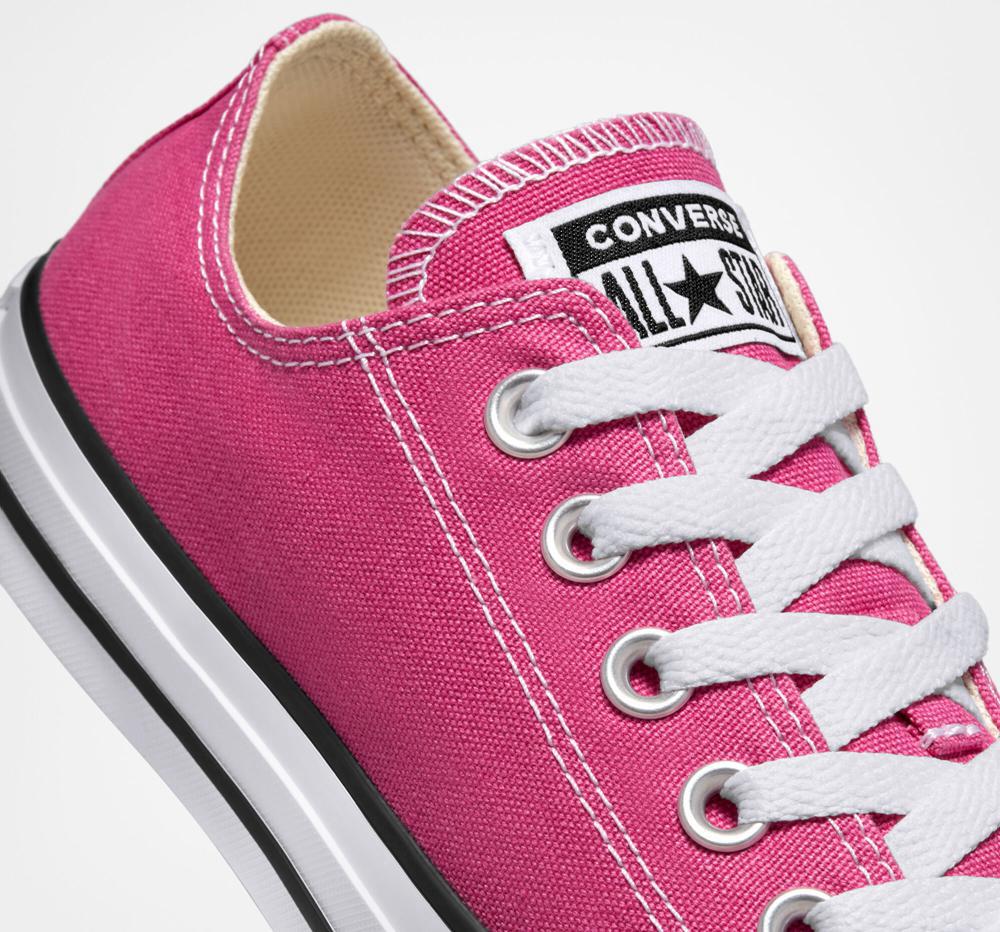 Active Fuchsia / White / Black Men's Converse Chuck Taylor All Star Seasonal Color Unisex Low Tops  India |  MTKV-08943