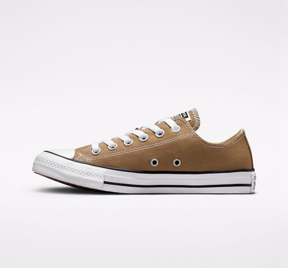 Brown Sand Dune / White / Black Men's Converse Chuck Taylor All Star Seasonal Color Unisex Low Tops  India |  JMQA-60127