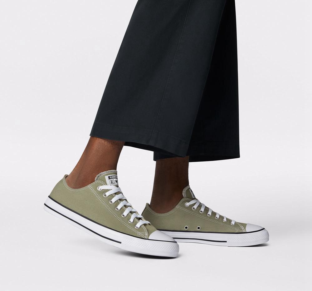 Green Light Field Surplus Women's Converse Chuck Taylor All Star Seasonal Color Unisex Low Tops  India |  ELWS-34781