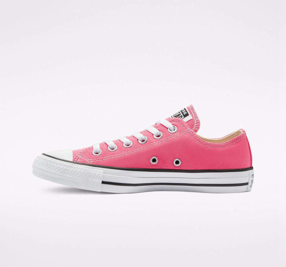 Hyper Pink Men's Converse Chuck Taylor All Star Seasonal Color Unisex Low Tops  India |  EHRL-50789