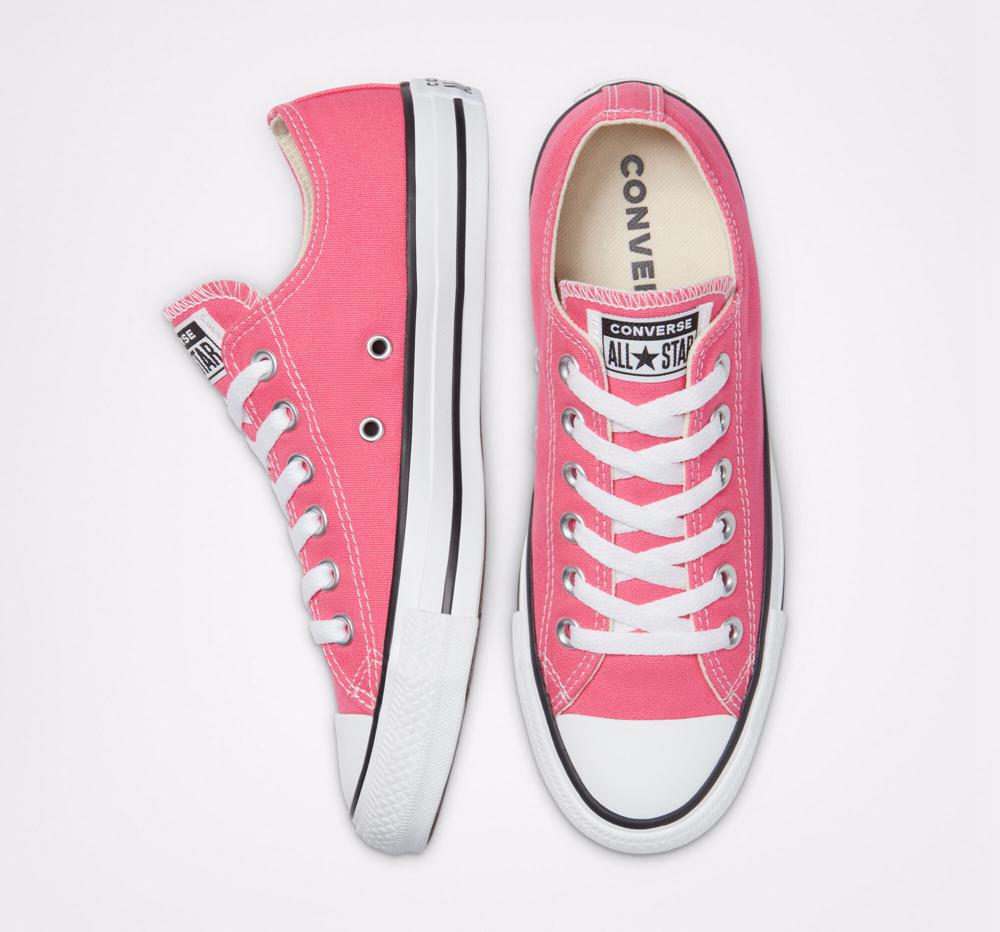 Hyper Pink Men's Converse Chuck Taylor All Star Seasonal Color Unisex Low Tops  India |  EHRL-50789