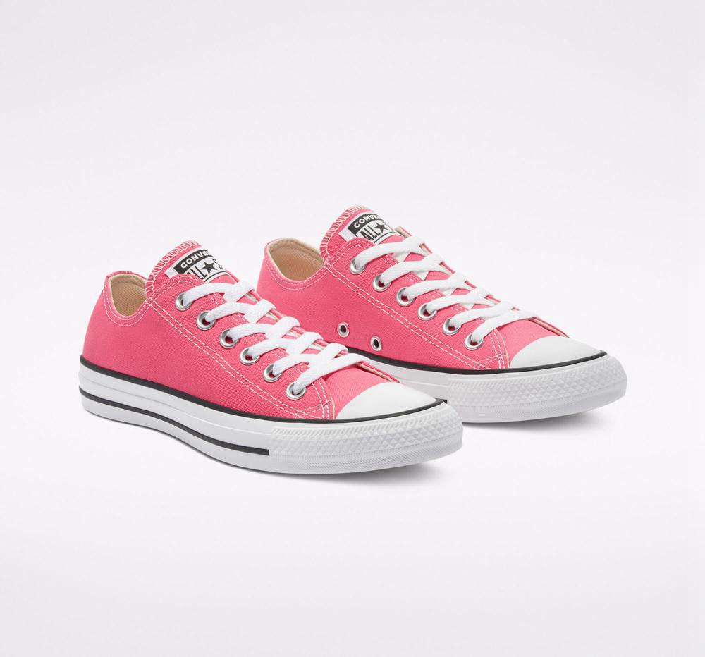 Hyper Pink Men's Converse Chuck Taylor All Star Seasonal Color Unisex Low Tops  India |  EHRL-50789