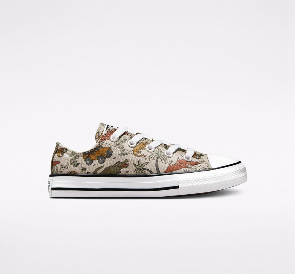 Multicolor Papyrus / Utility Boys\' Converse Chuck Taylor All Star Desert Explorer Little Kids Low Tops  India |  TJYS-69502