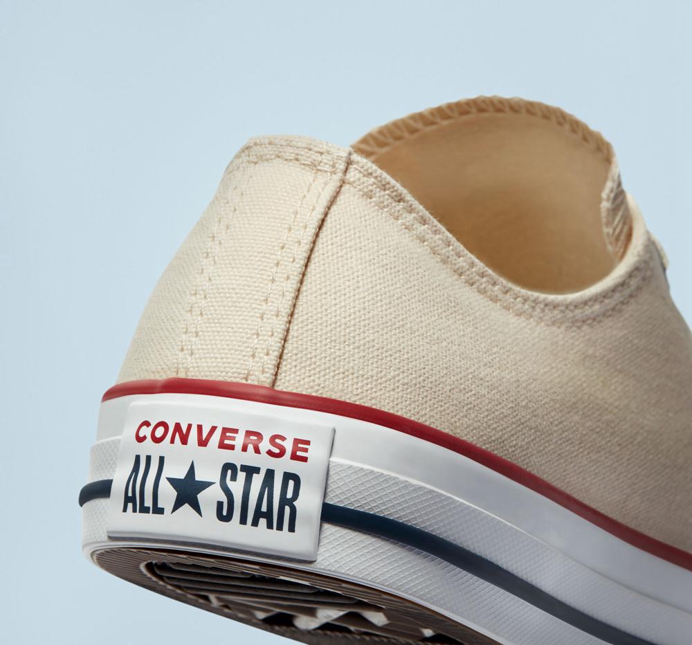 Natural Ivory Men's Converse Chuck Taylor All Star Classic Unisex Low Tops  India |  FLBG-98036