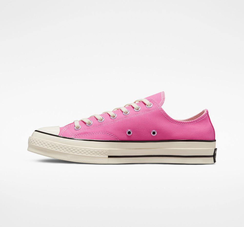 Pink / Egret / Black Men's Converse Chuck 70 Vintage Canvas Unisex Low Tops  India |  EIQB-31569