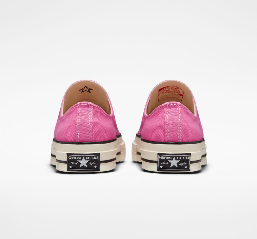 Pink / Egret / Black Women's Converse Chuck 70 Vintage Canvas Unisex Low Tops  India |  TSZW-84915