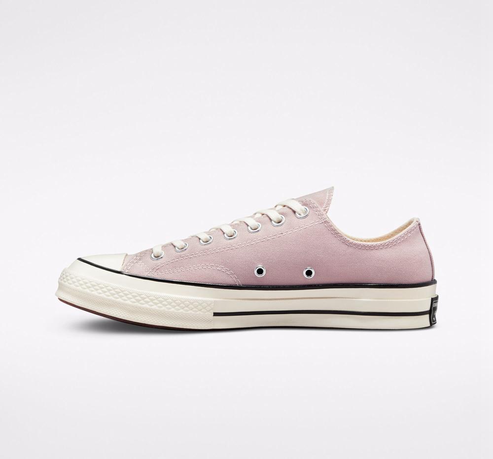 Pink Stone Mauve / Egret / Black Men's Converse Chuck 70 Canvas Unisex Low Tops  India |  GCSE-13587